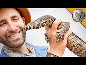 Did I just catch a DINOSAUR?!