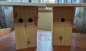 Deluxe "camera READY " Cedar Bluebird Nest Box- Larger Interior Space With Side Access/cleanout - Etsy