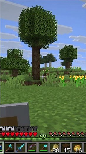 Wir haben jetzt einen Keller für unser Minecraft Haus