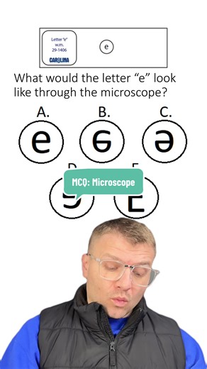 Understanding Microscope Images: The Letter E