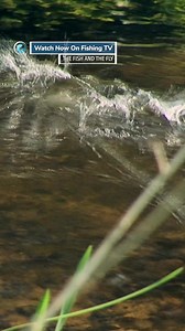 The art and science of dry fly fishing - ‘The Fish and the Fly’ on Fishing TV Click the link to watch now! https://www.fishingtv.com/video/the-fish-and-the-fly-1-dry-flies/ This is a movie about fishing the dry fly. We join Morten Oeland on a number of trips to different waters in Denmark, Greenland, Germany, New Zealand and Swedish Lapland. We take a close look as he finds the insects the trout are feeding on, and when he chooses the right imitation in every situation. With underwater cameras w