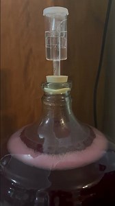 How to Make Wine - 2 Weeks of Primary Fermentation in the Glass Carboy and Airlock - Blueberry Wine