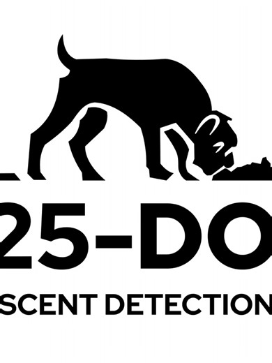 Boxers on tour on TikTok