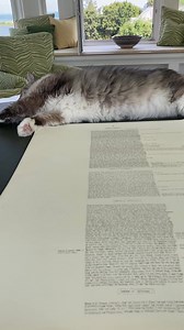 4.7K views · 375 reactions | Facebook's supposed updates has made posting much more difficult. I hope this video finally gets on my page. All the best, Robin Cook | Robin Cook | Facebook