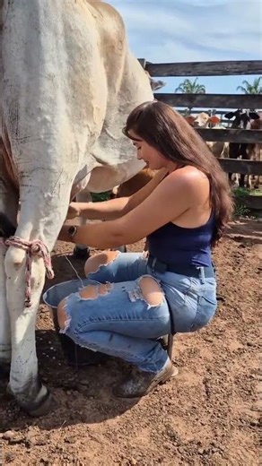 Beautiful Farm Life Morning Routine | Rural Family Lifestyle