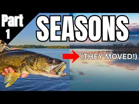 Find Walleyes ANY Time of Year By Understanding This ONE Movement Pattern!