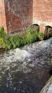 120K views · 335 reactions | Connor John Hamer on Reels | Facebook