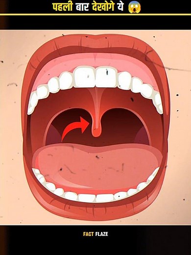 The Mystery of the Uvula!🤯