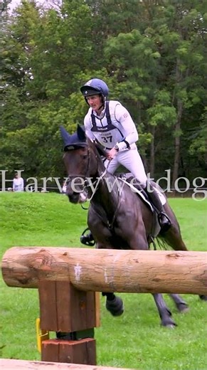 Tom McEwen clears the influential fence 22AB at Blenheim Palace & restores National pride #eventing