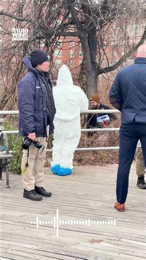 Skull found in wooded, debris-filled area next to Coney Island Boardwalk
