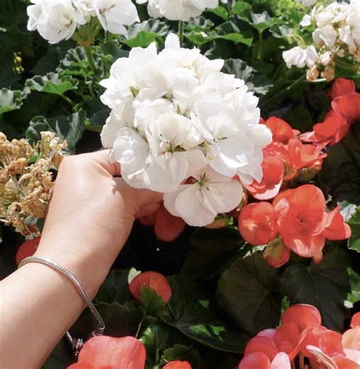 weekly vlog 🌼 the last week of march | mini tj maxi haul, i think I want to be a plant mom..... spend days within the week with me as we close off march & head into April! mini tj maxx haul, tryinggggg to stay in the gym, I think I want to become a plant mom & opening a few packages! ♡ 𐙚 I've broken everything down for you by chapter & this is filmed & created in 4K, enjoy! 🧸 #jemaialzonia #weeklyvlog #springvlog #weekinmylife #vlog