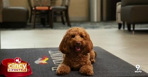 Finding the perfect gift for your pet with Kristine Levine