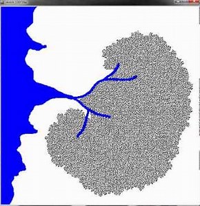 Modelling Urban Growth using Cellular Automata