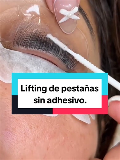 Como puedes realizar un lifting de pestañas con técnica coreana.🌸 🌸usando productos fáciles de conseguir en tu país. y mostrando los resultado que tus clientas siempre han querido ver. Lleva tu Lifting al siguiente nivel este 2026 dominando la técnica más pedida en los salones de belleza.✨ #lamimaker #lashlamination #lashlifting #koreanlashlift #liftingdepestañas