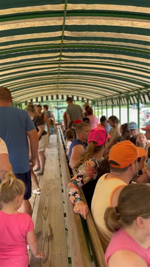 10K views · 23 reactions | Can y’all keep a secret? We have a bear problem at our park! 狼 The crazy part ….THERE’S THREE and it seems picnic baskets always seem to go missing來 If you’re brave enough for a bear encounter, you can book your site now! https://www.sunoutdoors.com/kentucky/jellystone-park-at-mammoth-cave | Jellystone Park Mammoth Cave | Facebook