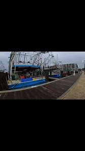 Shrimp Boats and Coastal Vibes Mississippi Gulf Coast