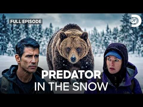 Trapped on the Largest Glacier | Man, Woman, Wild S2 E9 | Discovery Channel India