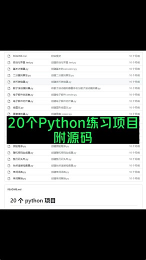 20个Python练习项目【附源码】
