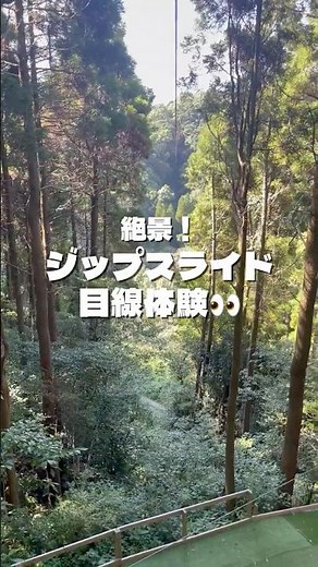 【絶景】森を抜けた先に広がる景色が最高だった！扇風機の前で風を浴びながら見れば、気分はもう森の中⁈ #フォレストアドベンチャー #ジップライン #絶景スポット