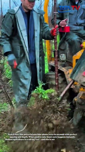 This Tree Planting Machine Is Insane 😳🌳