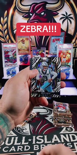 Exciting Zebra Sports Cards Case Hit Revealed!