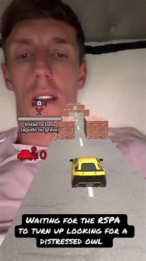 Rescue Efforts for Distressed Owls at Night