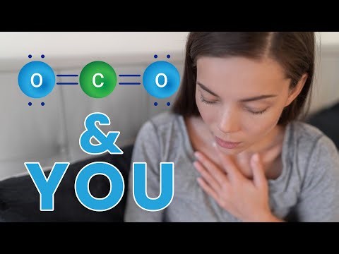 Episode 49 - "CO2 and You" - Capnography