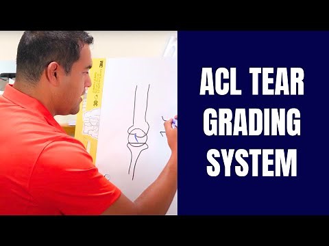 ACL Tear Grading System Explained To Better Understand Your MRI
