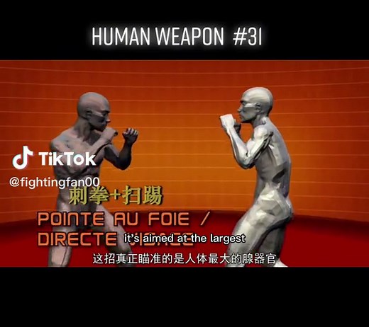 human weapon POINTE AU FOIE / DIRECTE VISAGE#martialarts #selfdefense #mma #combat #fight #fightingfans #boxing #fyp #foryou @jacob105200