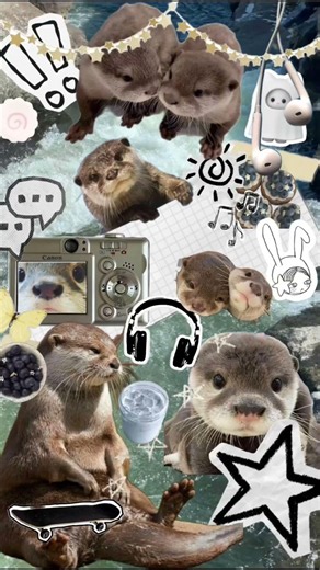 Free walpapers/profil pics 🌈✨#pics #wallpaper #free #fypシ゚viral