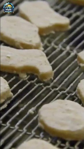 Inside McDonald’s Chicken Factory