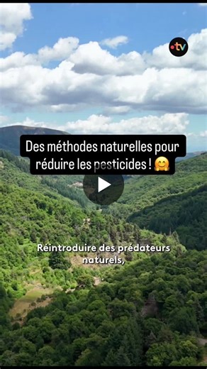 Voilà on peut le faire ! | Pierre Alexandre Besson