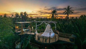 Tree houses in Asia: 4 next-level treetop spots to nuzzle up to Mother Nature | Coconuts