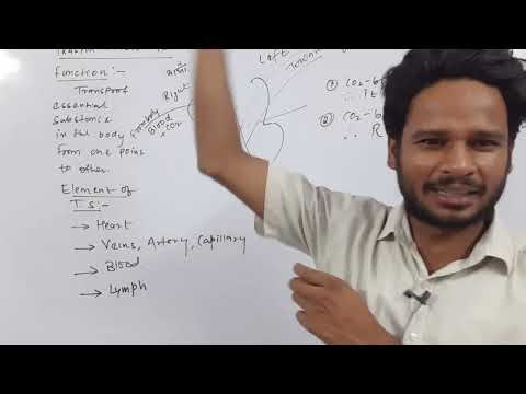 Transportation System | Ch 6 Life Process | Class 10
