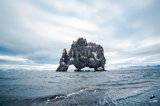 Hvítserkur, Iceland's Rhino Rock | Arctic Adventures