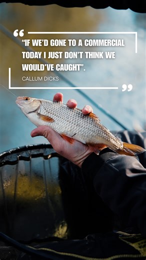 A Forgotten Art! Big Roach on a Stick Float. From choosing the right peg in low, clear water to feeding downstream for perfect stick-float presentation, this session is packed with simple but deadly winter river tactics. The result? 👉 Quality roach and dace, steady bites as the light fades, and a reminder of why natural venues can be unbeatable in the cold. If you fish rivers in winter, this one’s a must-watch. LINK IN COMMENTS ⤵️ | Fish Matrix