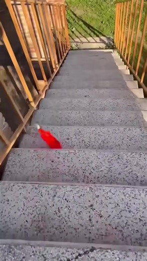 Good mood satisfying 🙂‍↕️🥰 #satisfyingvideos #asmr #viralvideos #fyp