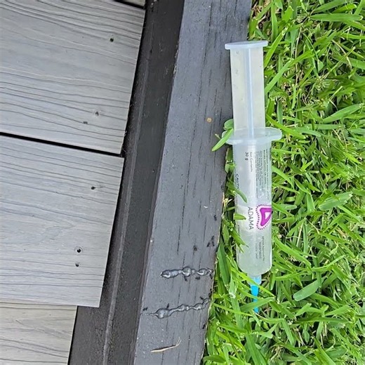 Advion Ant Bait Gel vs Doxem Clear (Indoxacarb) | Ant Control Trial