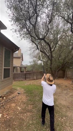 Happy DIY tree trimming.