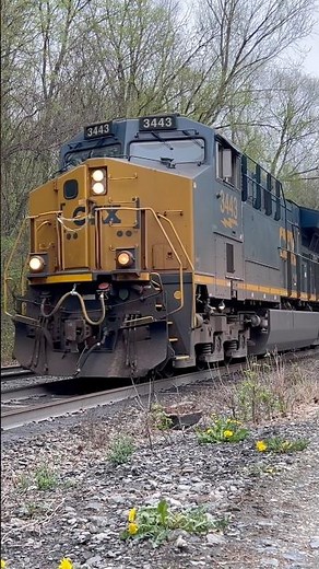 CSX I135 at Lander Rd #csx #hornshow #railfanning