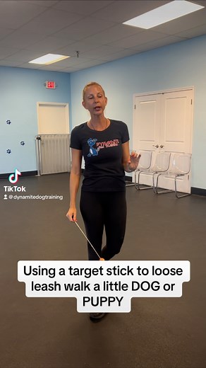 Lucky Dog Training Club on Reels