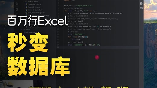 python读取超大表格(全网最快读取方法)