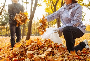 The Best Leaf Grabbers To Clean Up Your Yard