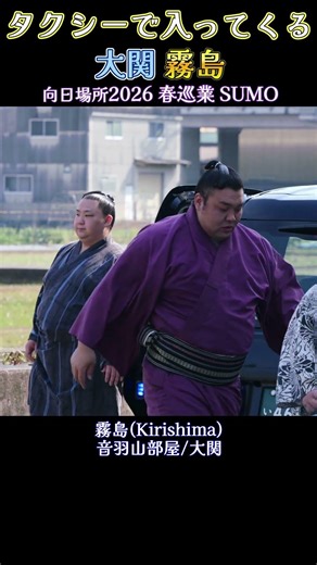 タクシーで入ってくる 大関 霧島❗ 【向日場所 大相撲 春巡業2026】Sumo