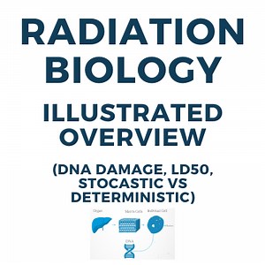 Radiation Biology Illustrated Introduction [ionization DNA Breaks, LD50, Stochastic Vs Deterministic] For Radiologic Technologists • How Radiology Works