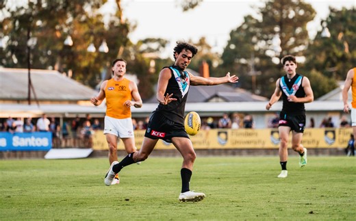 Match report: Power and Crows battle in pre-season hit out