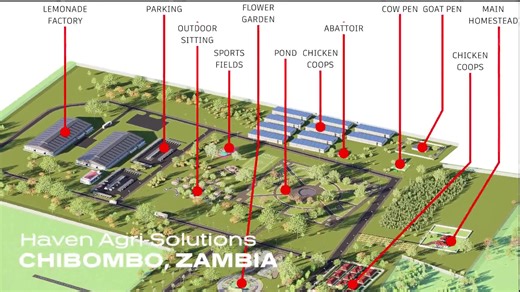 Farming for the Future: Sustainable Agriculture in Zambia