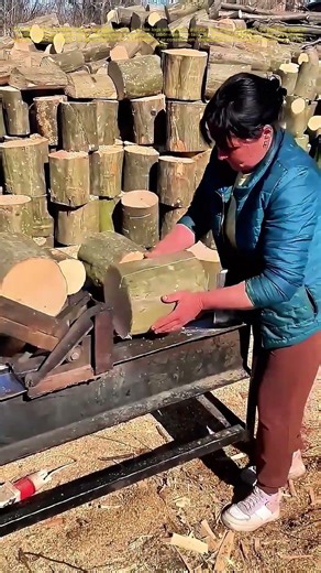 Splitting Efficiency: How a Log-Splitter Tool Revamps Woodworking