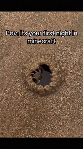 first night minecraft 😄