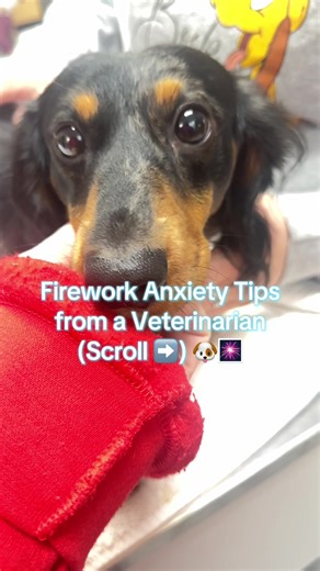 Fireworks don’t have to mean fear 🎆🐾 Swipe for simple, at-home tips to help your dog feel safer and calmer when the noise starts. A little preparation can make a big difference 💙 #doganxiety #fireworks #AICreate